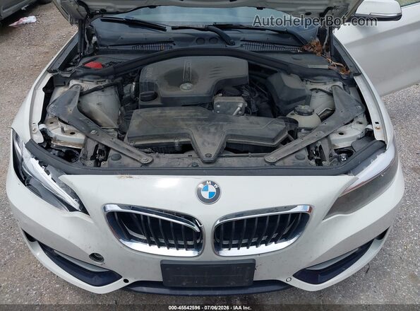 WBA1K9C59GV322902 2016 BMW 2 SERIES Белый Вид сзади