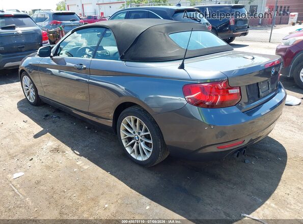 WBA1K9C5XGV321693 2016 BMW 2 SERIES Gray Задня ліва чверть