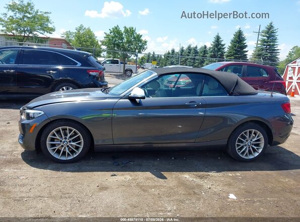 WBA1K9C5XGV321693 2016 BMW 2 SERIES Gray Панорамний вид салону 360°