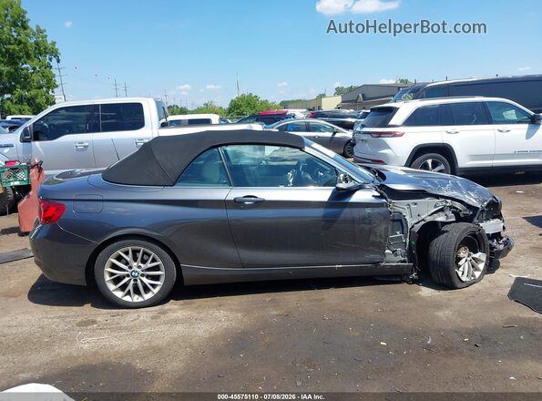 WBA1K9C5XGV321693 2016 BMW 2 SERIES Gray Вид задньої частини салону