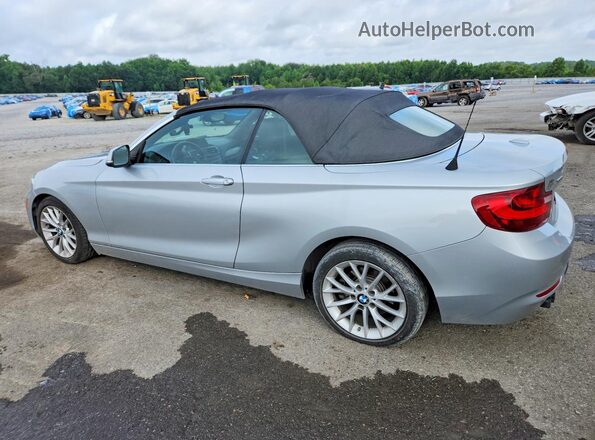 WBA1L9C59GV324954 2016 BMW 2 SERIES Silver Trasero izquierdo