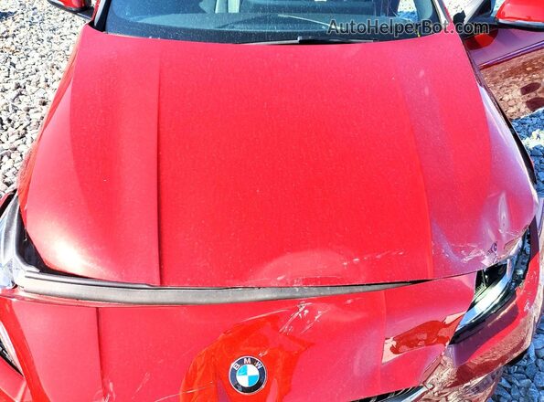 WBA23GG09S7T56081 2025 BMW 2 SERIES Красный Вид задней части салона