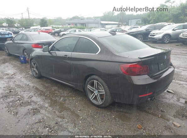 WBA2F9C39HV635893 2017 BMW 2 SERIES Blue Rear left