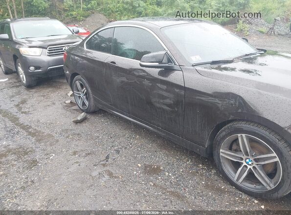 WBA2F9C39HV635893 2017 BMW 2 SERIES Blue Front view