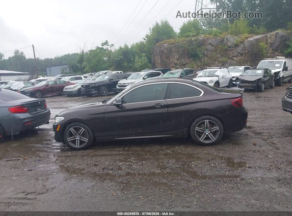 WBA2F9C39HV635893 2017 BMW 2 SERIES Blue 360 interior view
