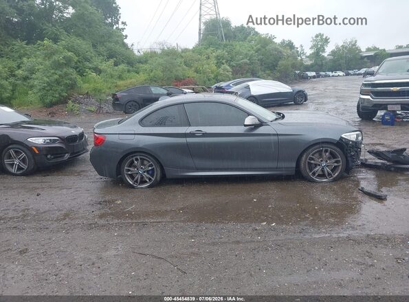 WBA2G3C30HV641415 2017 BMW M2 Серый Вид задней части салона