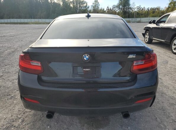 WBA2G3C53HV640857 2017 BMW M2 Black Rear view