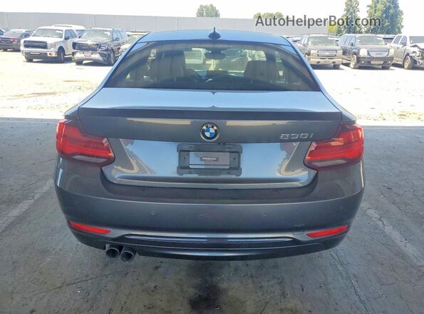 WBA2J1C08L7E62261 2020 BMW 2 SERIES Серый Вид сзади
