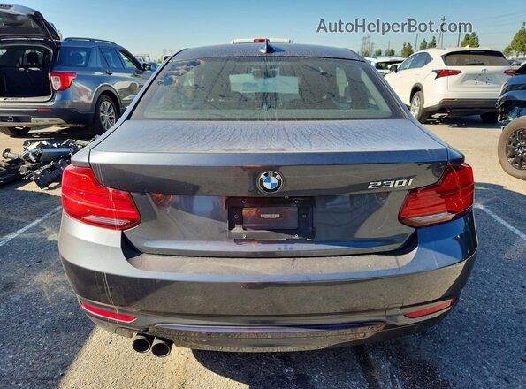 WBA2J1C54JVD09798 2018 BMW 2 SERIES Серый Вид сзади