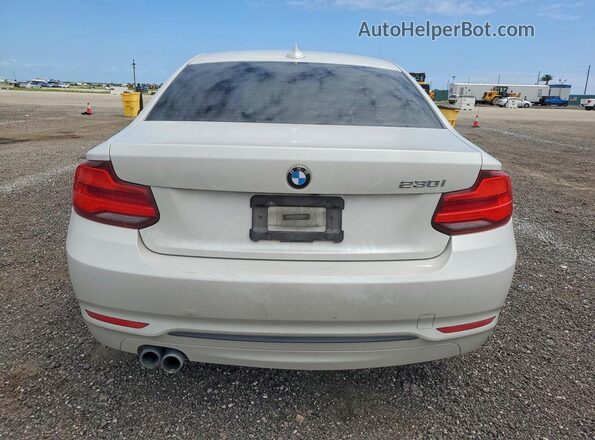 WBA2J1C58JVD08895 2018 BMW 2 SERIES White Widok z tyłu
