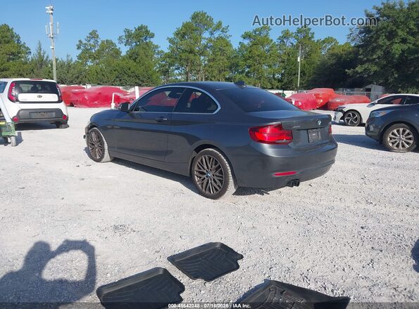 WBA2J3C06L7D95526 2020 BMW 2 SERIES Gray Задня ліва чверть