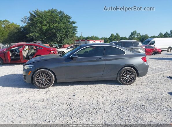 WBA2J3C06L7D95526 2020 BMW 2 SERIES Gray Панорамний вид салону 360°