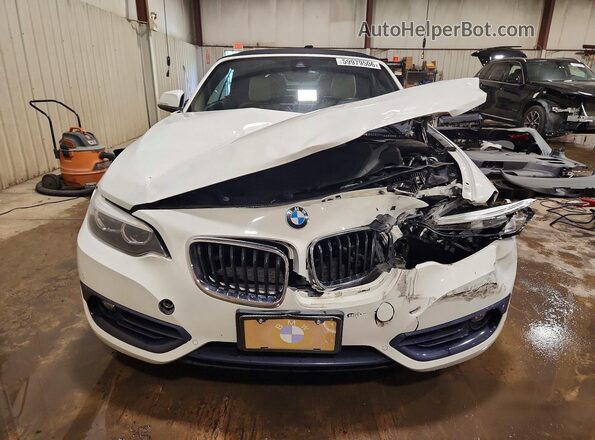 WBA2K1C59KVD41810 2019 BMW 2 SERIES White Widok z przodu