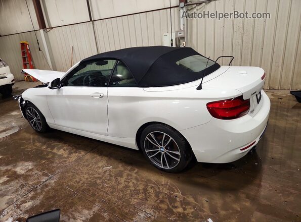 WBA2K1C59KVD41810 2019 BMW 2 SERIES White Tył lewy