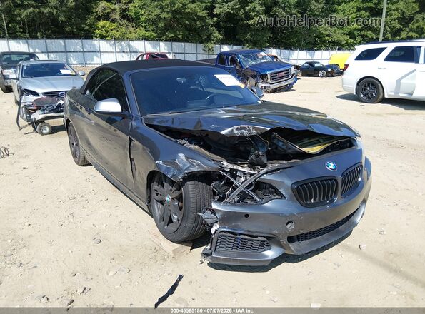 WBA2L1C30HV666511 2017 BMW M2 Gray წინა ხედი