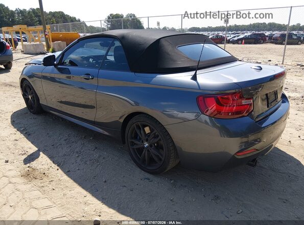 WBA2L1C30HV666511 2017 BMW M2 Gray უკანა მარცხენა