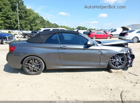 WBA2L1C30HV666511 2017 BMW M2 Gray სალონის 360-გრადუსიანი ხედი