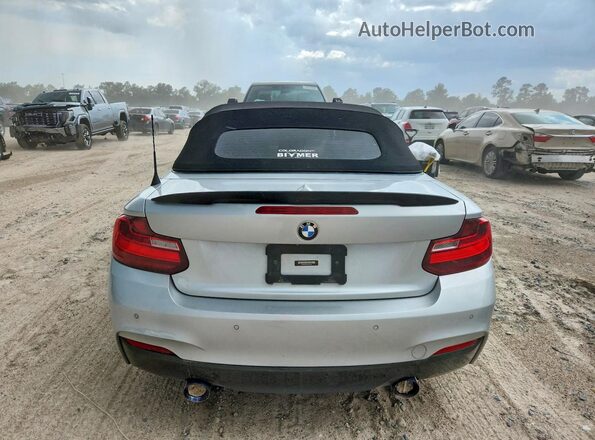 WBA2L3C32HV667882 2017 BMW M2 Silver უკანა ხედი