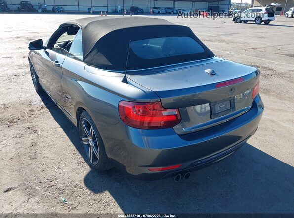 WBA2M9C51HV717351 2017 BMW 2 SERIES Gray Հետևի ձախ