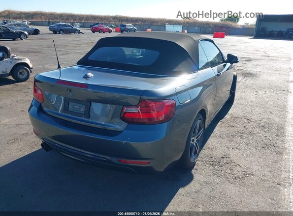 WBA2M9C51HV717351 2017 BMW 2 SERIES Gray Հետևի աջ
