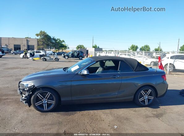 WBA2M9C51HV717351 2017 BMW 2 SERIES Gray Սալոնի 360 աստիճան տեսք