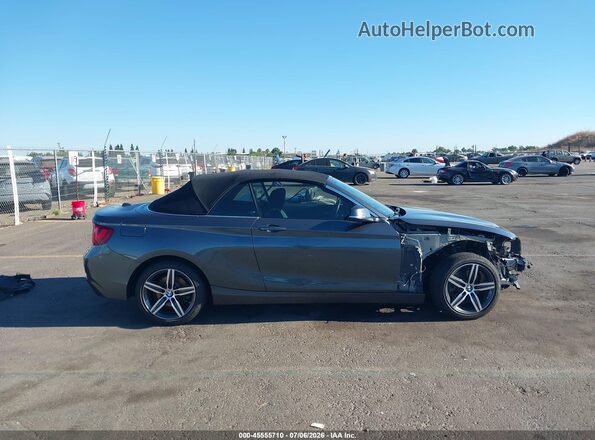 WBA2M9C51HV717351 2017 BMW 2 SERIES Gray Սալոնի հետևի տեսք