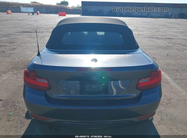 WBA2M9C51HV717351 2017 BMW 2 SERIES Gray 