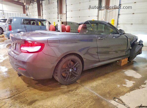 WBA2N3C51JVC29391 2018 BMW M2 Gray უკანა მარჯვენა