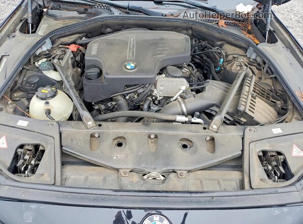 WBA5A5C50GD528662 2016 BMW 5 SERIES Black Вид задньої частини салону