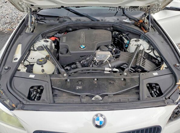 WBA5A5C54GG354495 2016 BMW 5 SERIES White Սալոնի հետևի տեսք