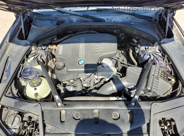 WBA5A5C58GG351289 2016 BMW 5 SERIES Blue Vista interior trasera