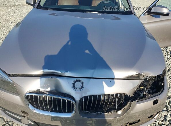 WBA5B1C59GG550955 2016 BMW 5 SERIES Tan Սալոնի հետևի տեսք