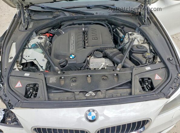 WBA5B3C52GG254736 2016 BMW 5 SERIES White Սալոնի հետևի տեսք