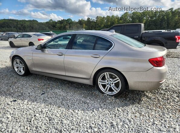 WBA5B3C55GG261017 2016 BMW 5 SERIES Silver Tył lewy