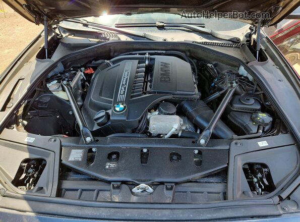 WBA5B3C56GG256859 2016 BMW 5 SERIES Черный Вид задней части салона