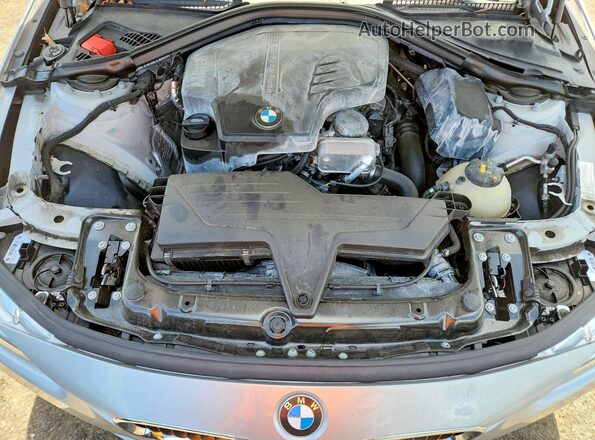 WBA8E1G52GNT34021 2016 BMW 3 SERIES Silver Սալոնի հետևի տեսք