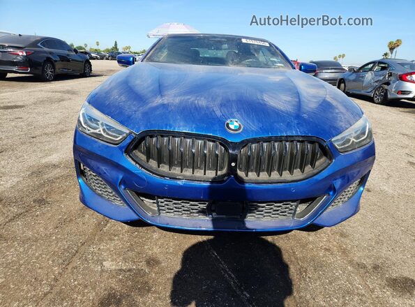WBAFY4C57KBX39274 2019 BMW M8 Blue Widok z przodu