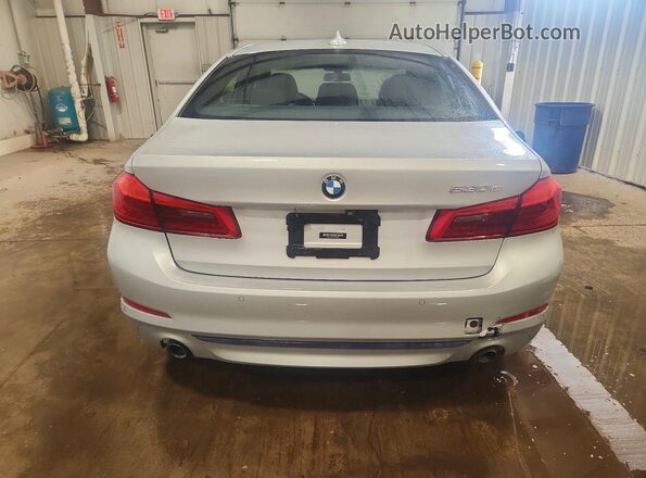 WBAJB1C5XKB376270 2019 BMW 5 SERIES Silver Vista trasera