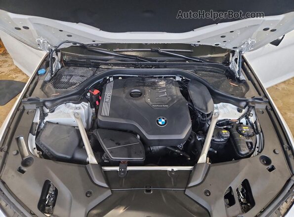 WBAJR3C0XLWW55062 2020 BMW 5 SERIES Белый Вид задней части салона