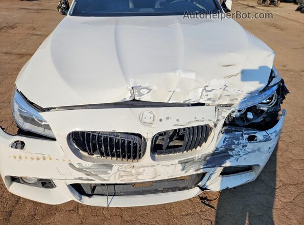 WBAKP9C56GD981029 2016 BMW 5 SERIES White Widok wnętrza z tyłu