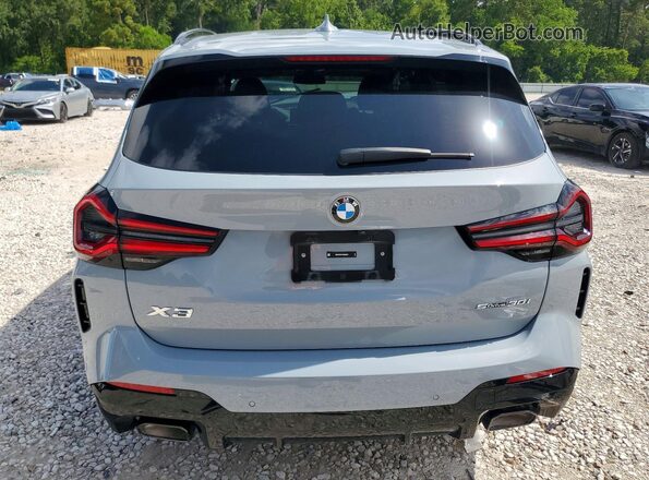 WBX47DP01RN292481 2024 BMW X3 Gray Rear view