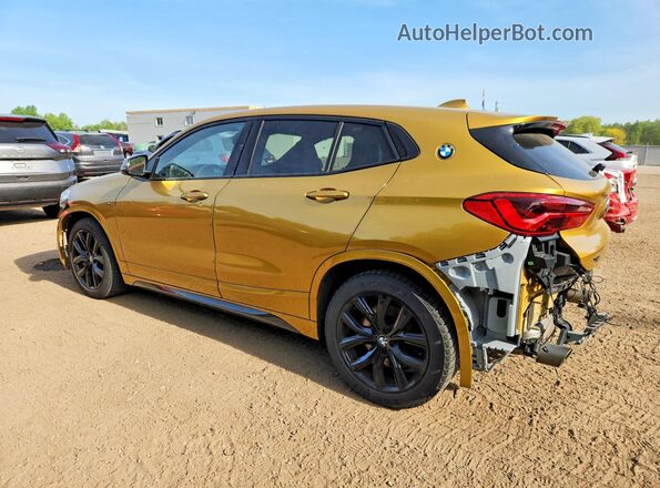 WBXYN1C57KES55027 2019 BMW X2 Gold უკანა მარცხენა