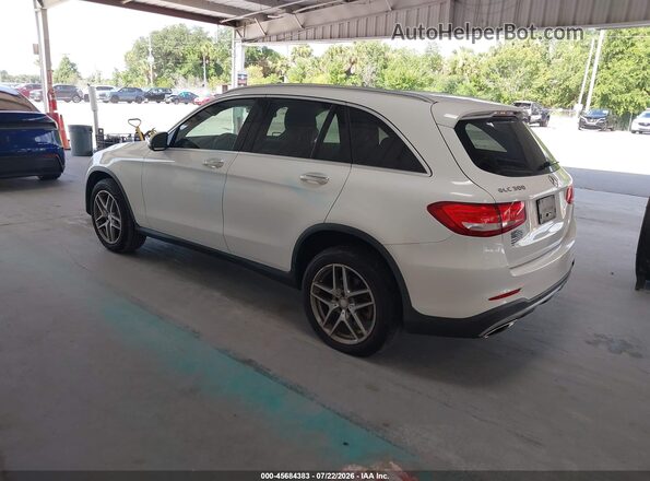 WDC0G4JB4GF023589 2016 MERCEDES-BENZ GLC 300 Белый Задняя левая четверть