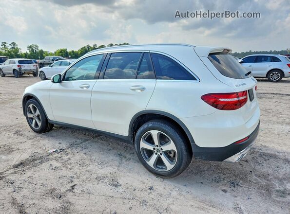 WDC0G4JBXHF253428 2017 MERCEDES-BENZ GLC-CLASS White უკანა მარცხენა