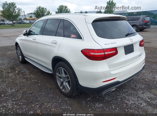WDC0G4KB8HF217610 2017 MERCEDES-BENZ GLC 300 White Задня ліва чверть