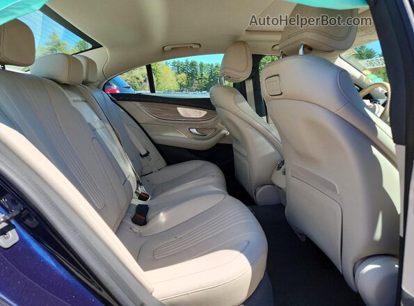 WDD2J5KB5KA016246 2019 MERCEDES-BENZ CLS-CLASS Blue Rear seats view