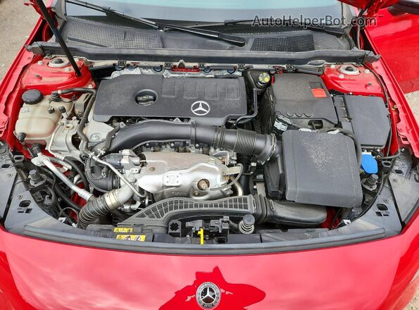 WDD3G4FB9LW041825 2020 MERCEDES-BENZ A Красный Вид задней части салона