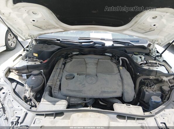 WDDHF5KB4GB169715 2016 MERCEDES-BENZ E-CLASS White Widok z tyłu