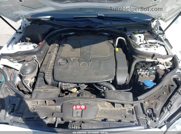WDDHF5KB4GB259396 2016 MERCEDES-BENZ E-CLASS White Widok z tyłu