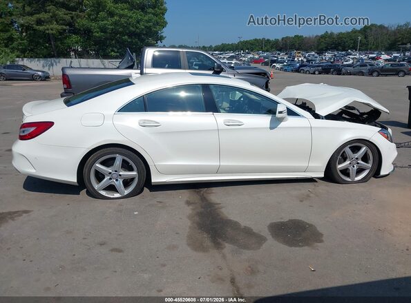 WDDLJ6HB2GA166064 2016 MERCEDES-BENZ CLS-CLASS White Вид задньої частини салону